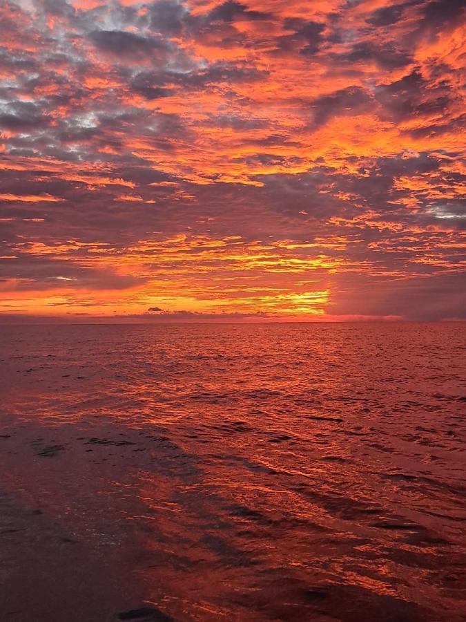 The Sunset